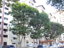 jurong-east-street-24 photo thumbnail #3